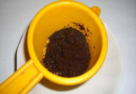 Использование кофейной гущи в качестве удобрения