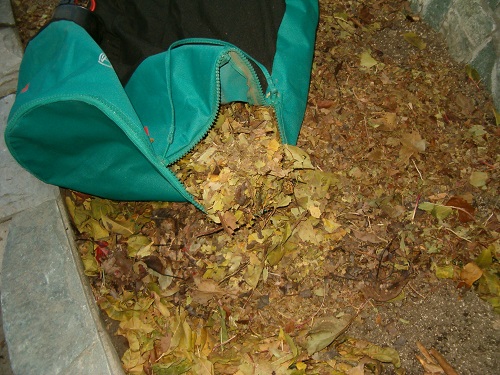 Нужно ли убирать листву осенью