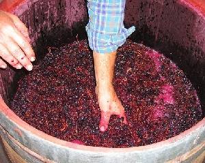 Самый простой способ приготовления вина из винограда