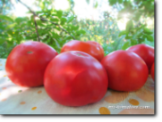 Реликтовые томаты