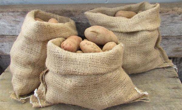 Как хранить картофель в подвале