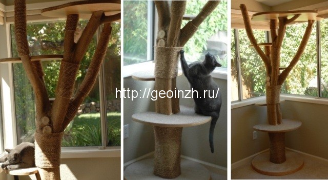 дерево для кошки своими руками