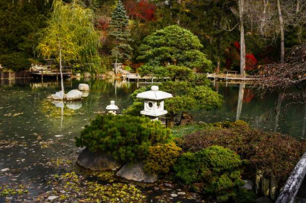 Ландшафтный дизайн японский сад