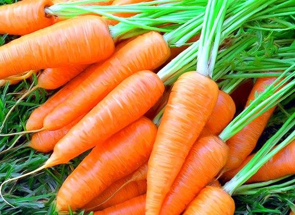 Морковь маринованная на зиму заготовки
