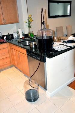 Как поставить виноградное вино в домашних условиях