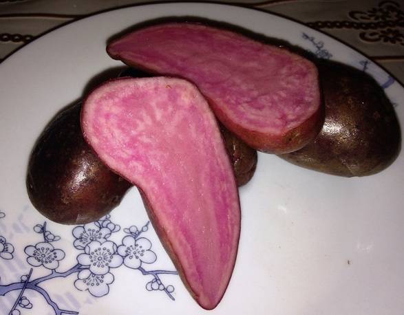 картофель с красной мякотью фото