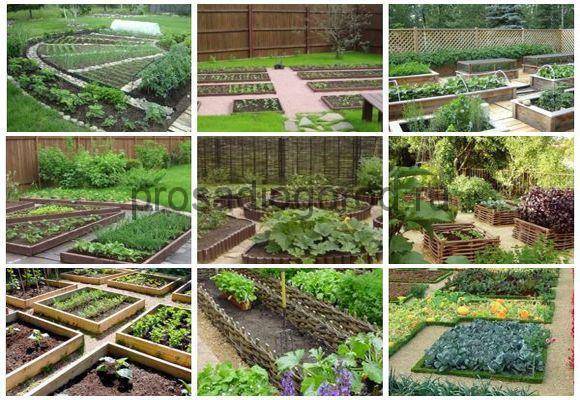 Планировка огорода: схема правильной посадки овощей, фото и видео