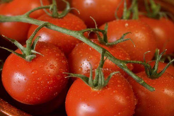 Сорта кистевых томатов с фото и описанием
