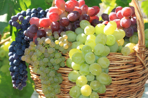 разные виды винограда в корзине
