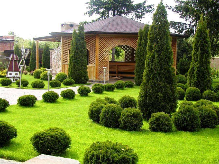 Ландшафтный дизайн двора в частном доме фото