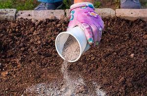 Как раскислить почву на участке