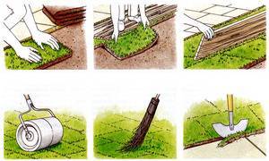 Пошаговая инструкция для посадки газона