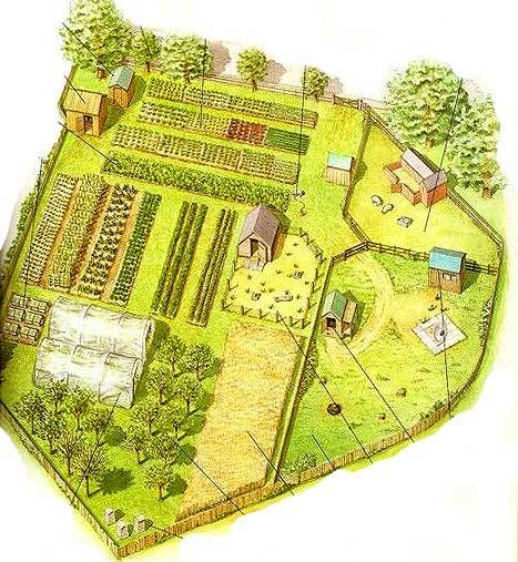 План посадки овощей на огороде схемы