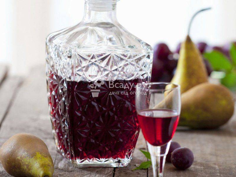 Лучшие рецепты домашних настоек на водке из ягод смородины