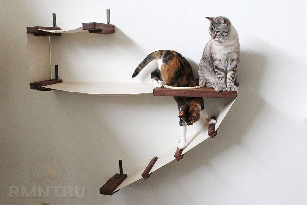 полочка для кошек на стену