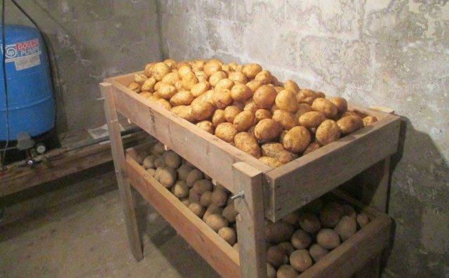 Как хранить картошку в гараже