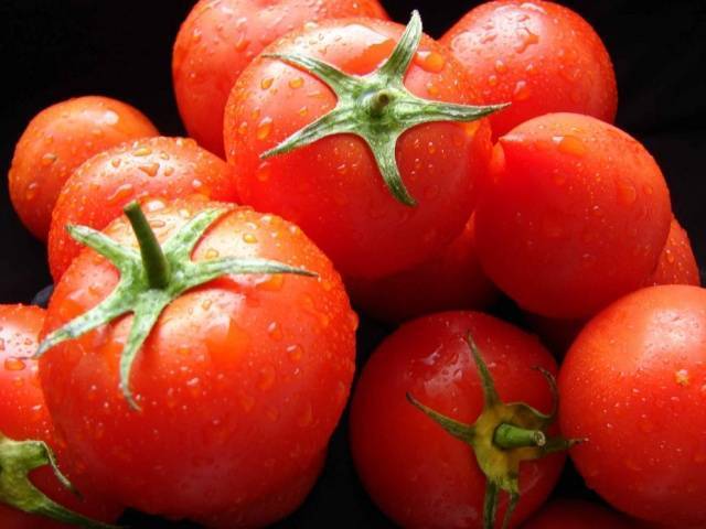 Новинки томатов от сибирского сада
