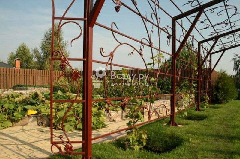 Изготовление шпалеры для винограда — Сад и огород