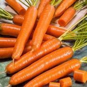 самые сладкие сорта моркови