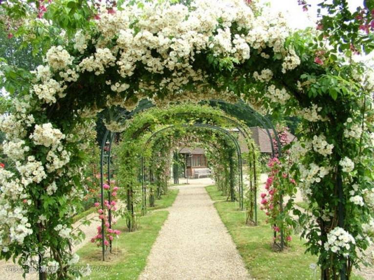 Цветущие садовые арки своими руками для декора вашего участка