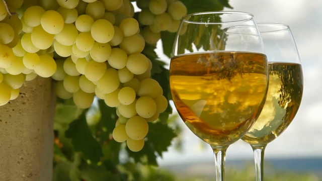 Домашнее вино из белого винограда рецепт приготовления