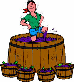 Как изготовить виноградное вино в домашних условиях