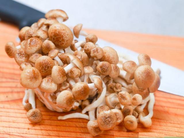 Белые грибы перед жаркой