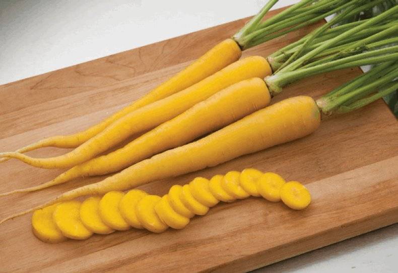 Почему морковь желтая а не оранжевая