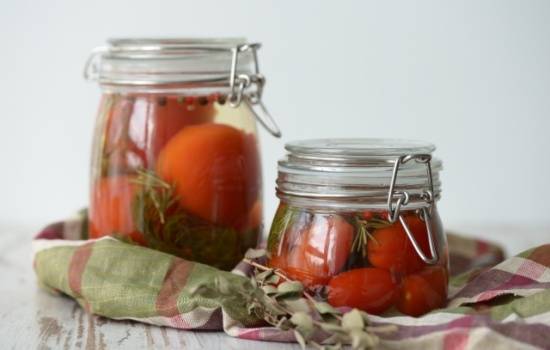 Маринад для помидоров – главный герой томатной заготовки! Рецепты вкусных маринадов для помидоров: с уксусом, аспирином, водкой