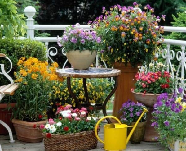 Как посадить цветы в саду красиво фото