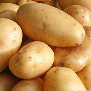 Как правильно картошка или картофель