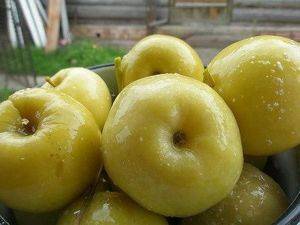 Как заквасить яблоки в домашних условиях