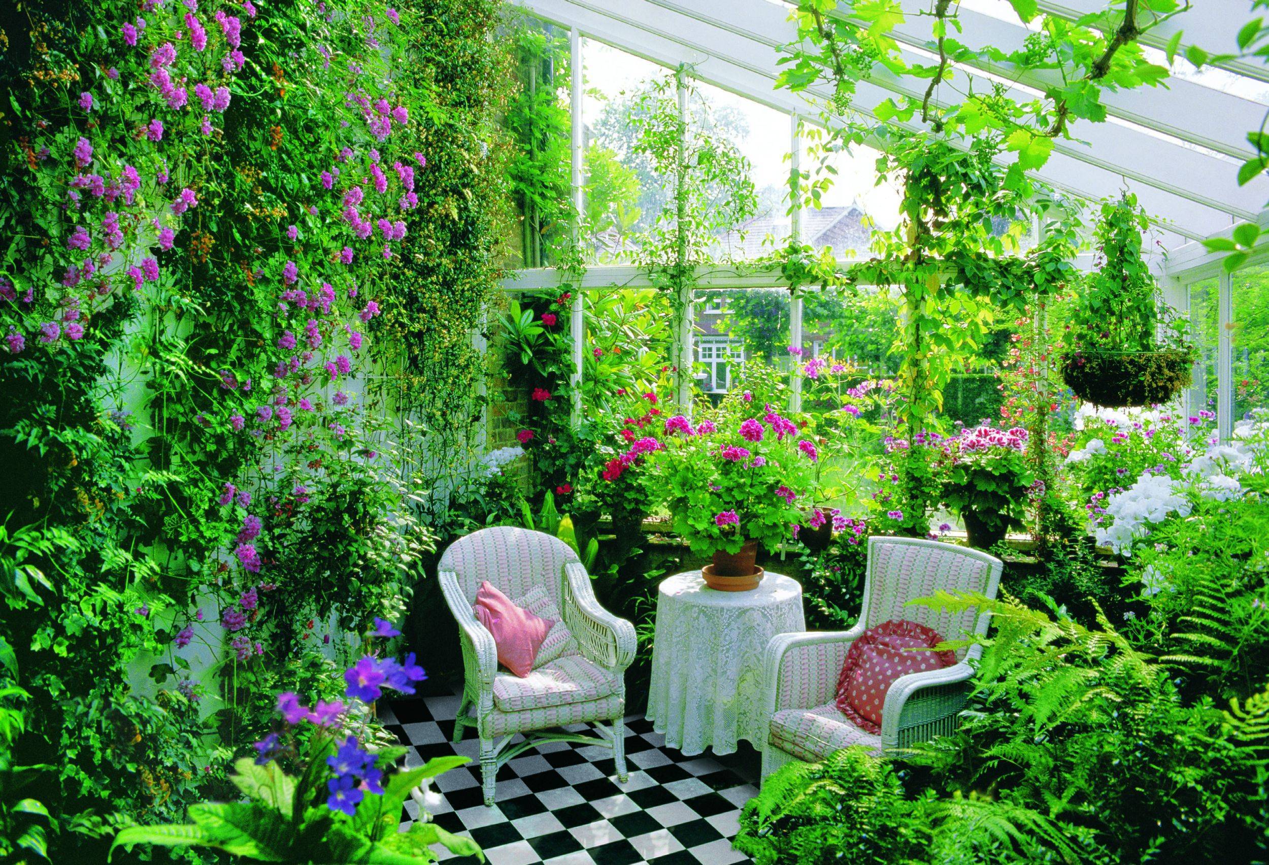 Зимний сад в частном доме фото