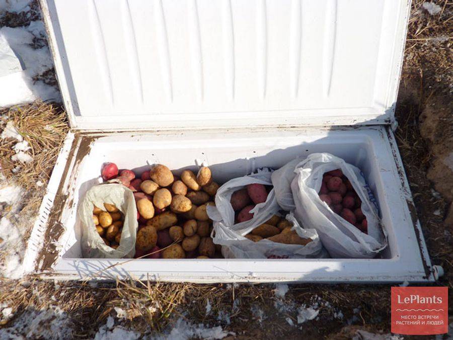погреб из холодильника на даче