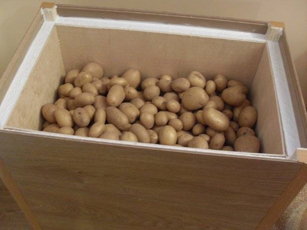 Как хранить картофель зимой в домашних условиях