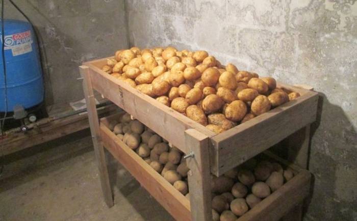 Хранение картошки в гараже без погреба