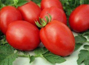 Интересные сорта томатов