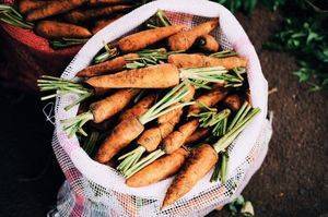 Как нужно хранить морковь в погребе