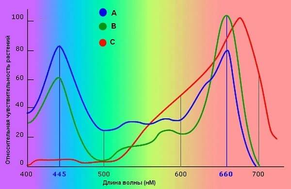 Зависимость чувствительности растений от определенного спектра