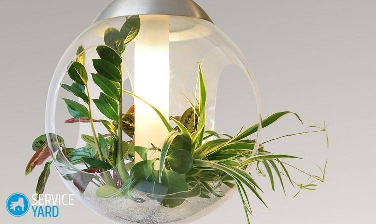 Лампы для выращивания растений в домашних условиях