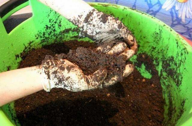 Как приготовить почву для рассады