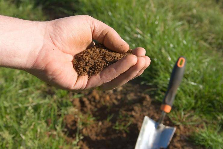 Как определить состав почвы на участке
