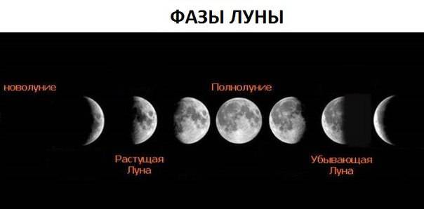 Лунный календарь гровера