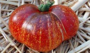 Необычные сорта томатов фото