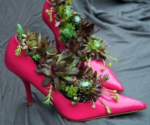 цветы в туфельках