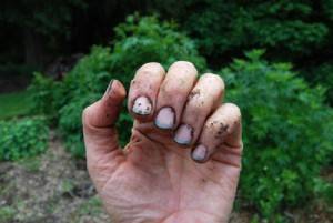 Грязные ногти после огорода