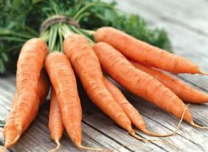 Как размножается морковь