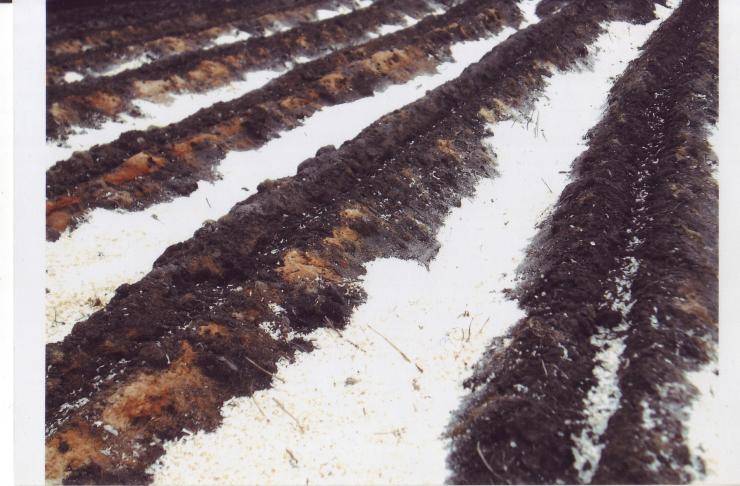 как улучшить плодородие почвы на дачном участке