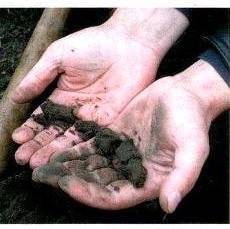 Определение типа почвы