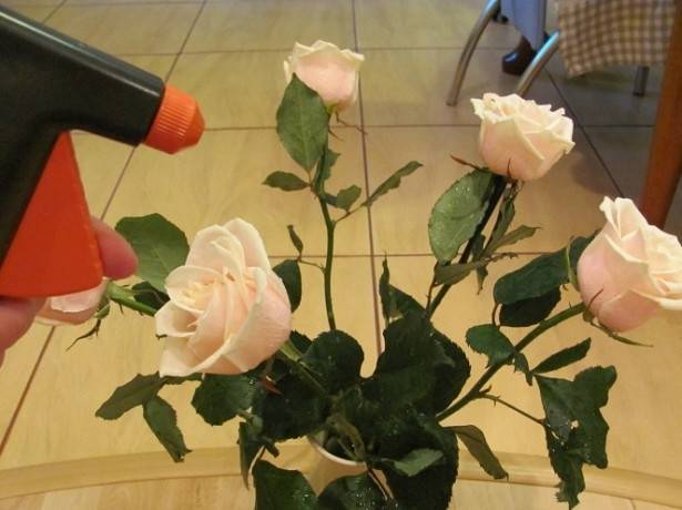Как сохранить цветы в вазе подольше розы